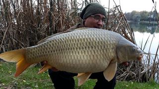 ISOLA DEL PESCATORE 4 noiembrie 2016